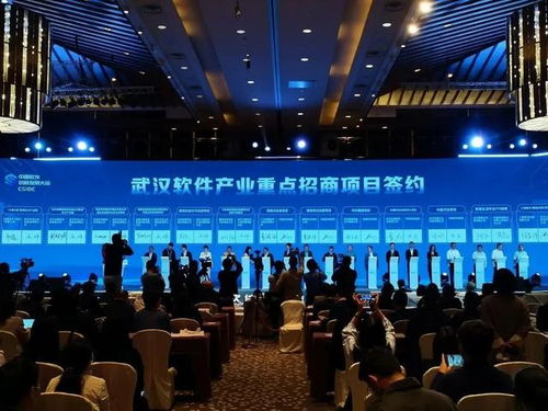 洪山区在2024中国软件创新发展大会签下6.1亿元大单 本土创新力量破冰聚焦四大科技变现路径
